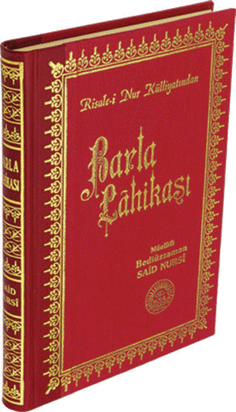 Orta Boy Sırtı Deri Barla Lahikası