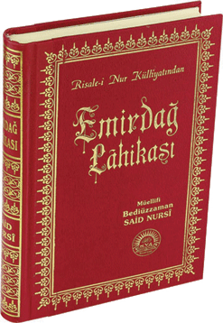 Orta Boy Sırtı Deri Emirdağ Lahikası