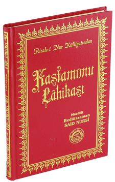Orta Boy Sırtı Deri Kastamanu Lahikası