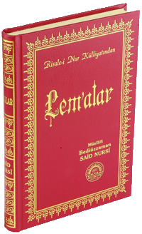 Orta Boy Sırtı Deri Lemalar