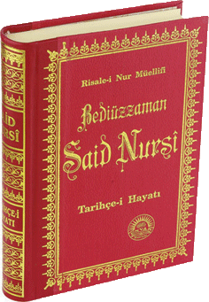 Orta Boy Sırtı Deri Tarihçe-i Hayat